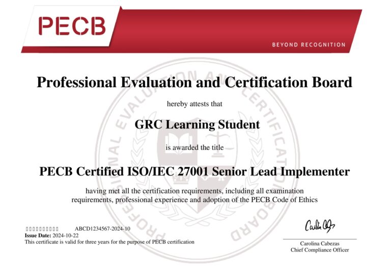Senior Lead Implementer 1